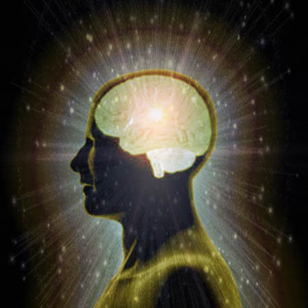 What is intelligence?