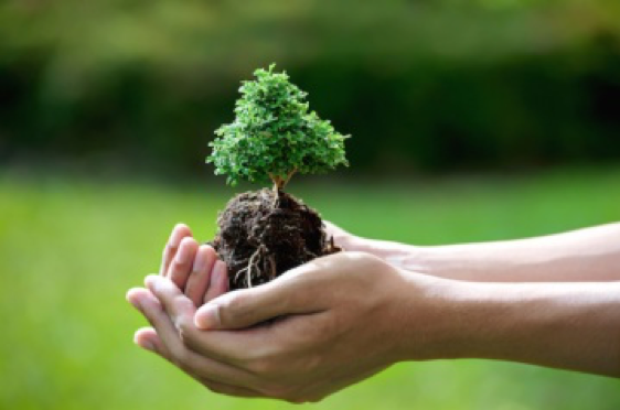 iNewparadigm-permaculture-World Depopulation