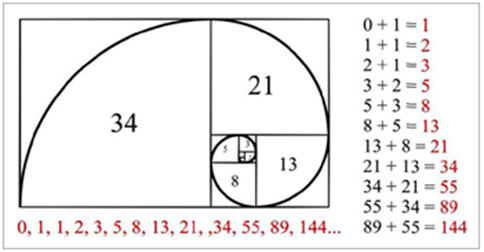 Fibonacci Series -Nature of Reality
