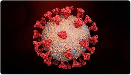 Spike Protein Removal-iNewParadigm
