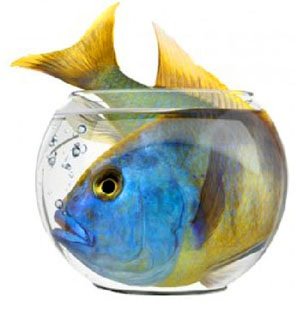 Self-Help Courses-iNewParadigm