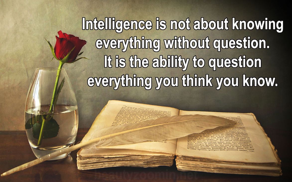 Question Everything Questions Are Answers! - iNewParadigm