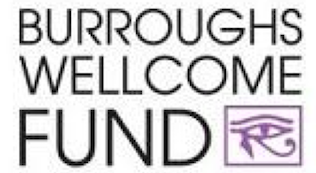 Occult Symbollism-2-iNewParadigm-10