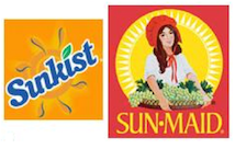 Occult Symbollism-2-iNewParadigm-14