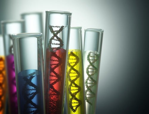 DNA-iNewParadigm