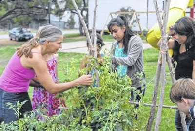 Grow your own food-iNewParadigm