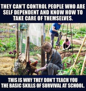 Freedom-iNewParadigm-3