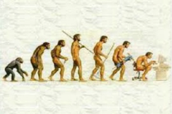 Permacuilture-iNewParadigm