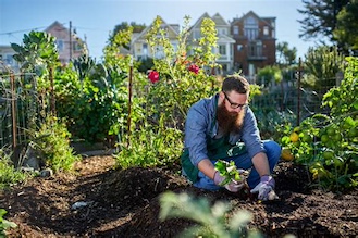 Homesteading-iNewParadigm-2
