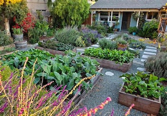 Homesteading-iNewParadigm