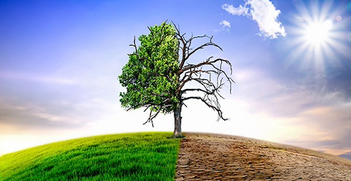 Climate change - global warming