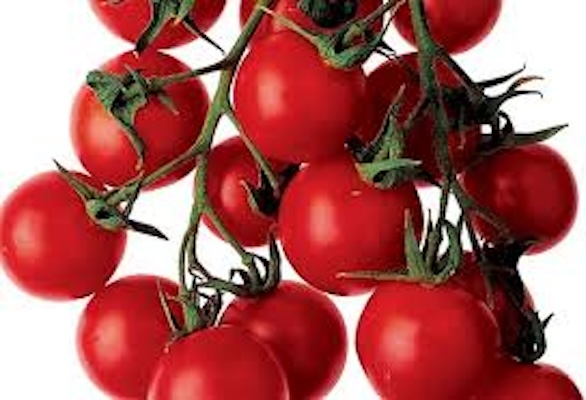 Tomatoes. Skin cancer