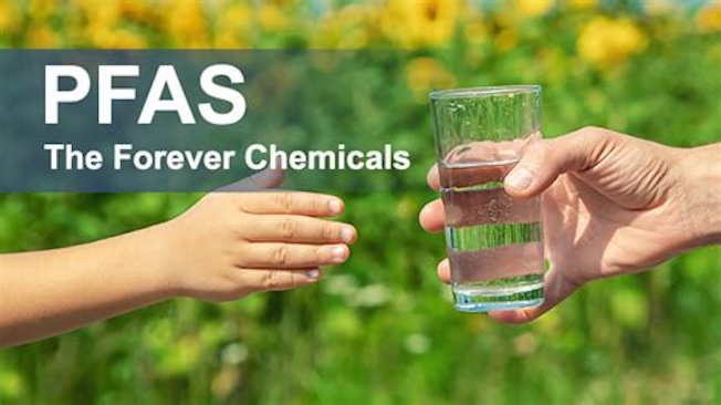 ‘Forever Chemicals’