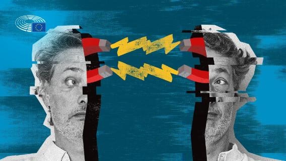 Disinformation Tactics