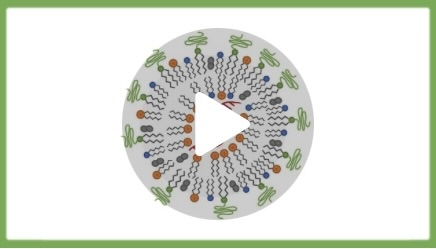 RFK Jr. Nefarious Science