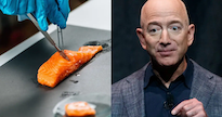 jeff-bezos-lab-grown-salmon