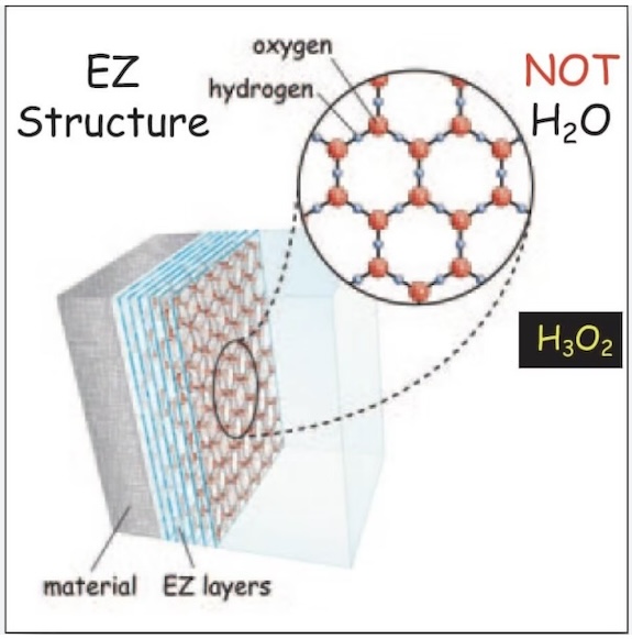 ‘fourth phase’ of water