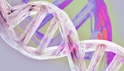 Synthetic Lifeform