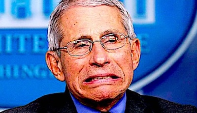 fauci-ugly