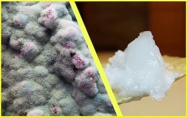 Coconut Oli's Anti Fungal