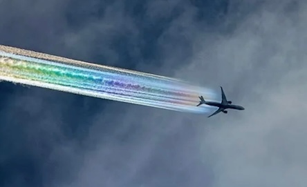 Engineered Transhuman