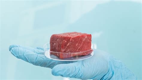Lab Grown Meat
