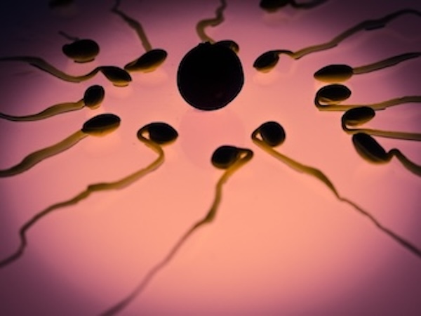 Male Infertility