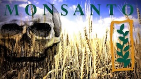 Monsanto