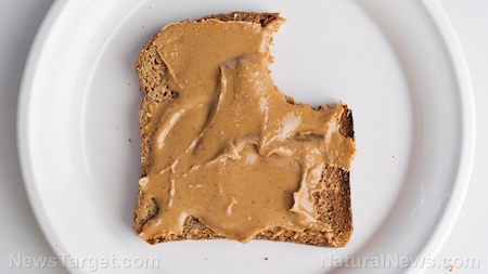 Bread-Peanut-Butter-Bite