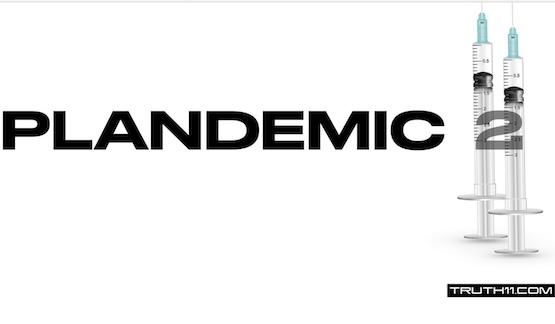 Plandemic