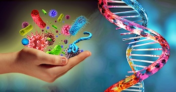 genetically-modified