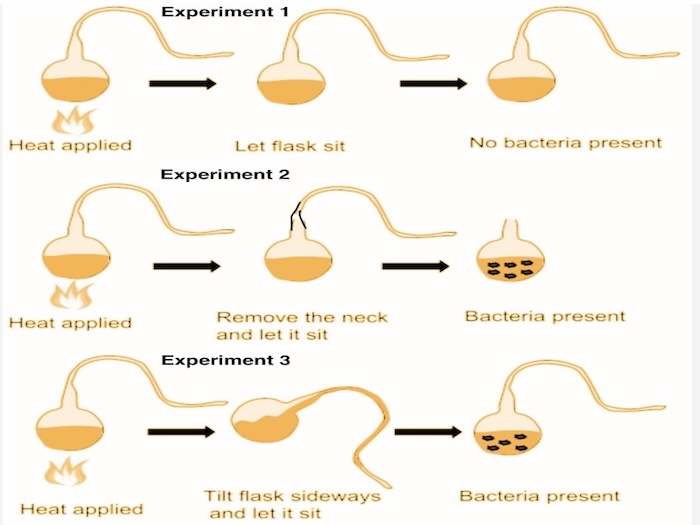 Pathogens