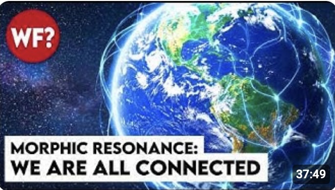 Morphic Resonance