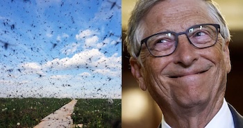bill-gates-mosquitoes-
