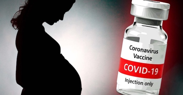 covid-vaccine-early-pregnancy-birth-defects