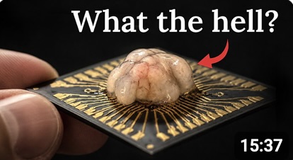 Biocomputing