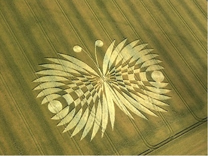 Crop Circles