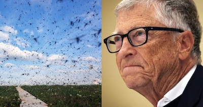 bill-gates-mostito