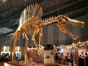 Dinosaurs