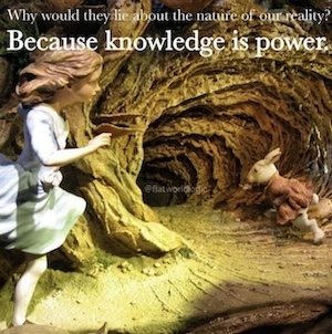 iNewParadigm 2
