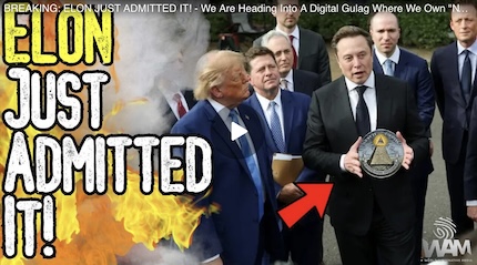 Elon