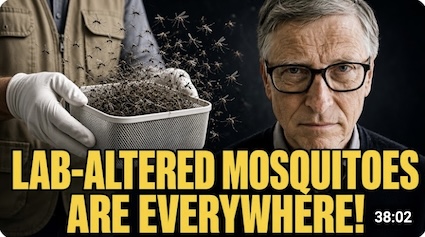 Gates-Funded Mosquitoes