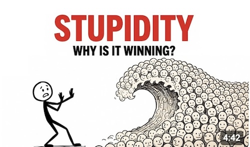 Stupidity
