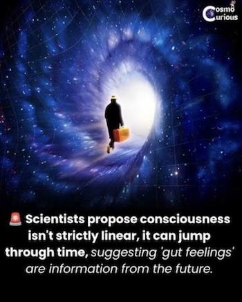 iNewParadigm 2