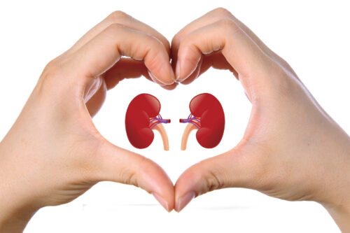 Kidneys healthy