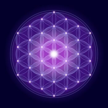 Lower of Life - Nature of Reality