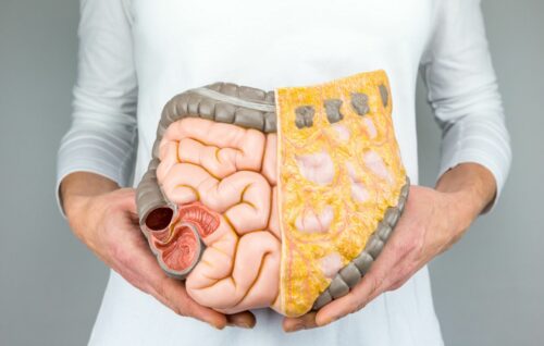 To Improve digestion